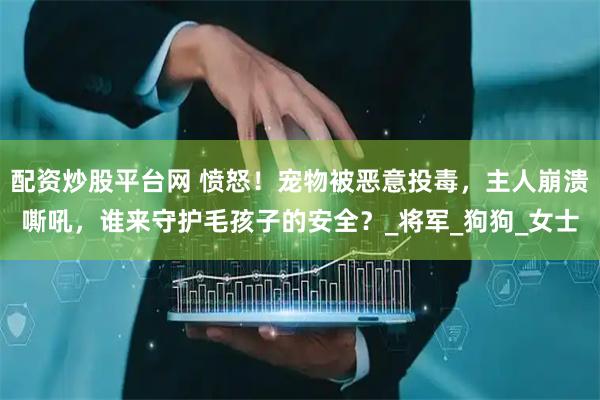 配资炒股平台网 愤怒！宠物被恶意投毒，主人崩溃嘶吼，谁来守护毛孩子的安全？_将军_狗狗_女士