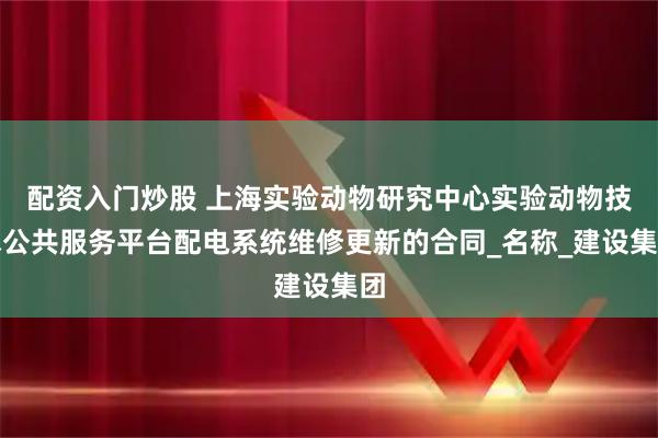 配资入门炒股 上海实验动物研究中心实验动物技术公共服务平台配电系统维修更新的合同_名称_建设集团