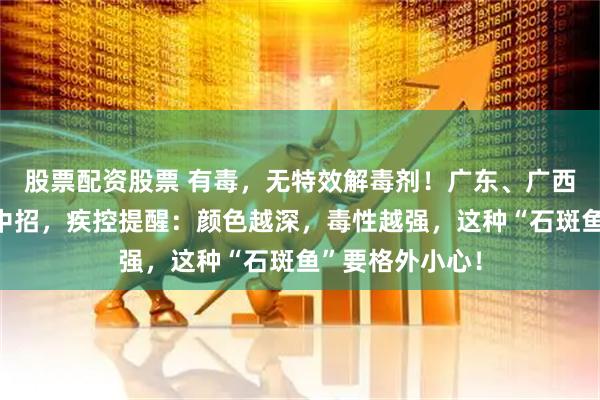 股票配资股票 有毒，无特效解毒剂！广东、广西等地接连有人中招，疾控提醒：颜色越深，毒性越强，这种“石斑鱼”要格外小心！